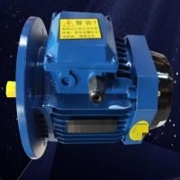 無(wú)刷工縫節能電機PE2是什么情況