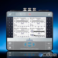 電機發(fā)生異常振動(dòng)的原因(發(fā)電機振動(dòng)監測)